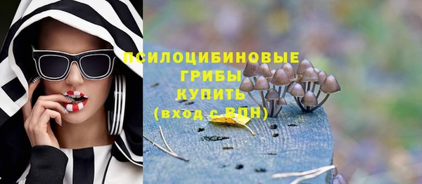 молекула духа Алексеевка