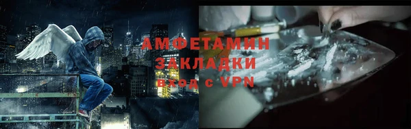 молекула духа Алексеевка