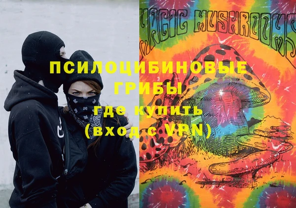 гашик Алзамай